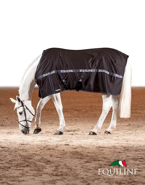 Derka lato 155 granat Reynosa Equiline