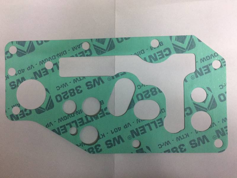 165916100600210 Uszczelka 0,25